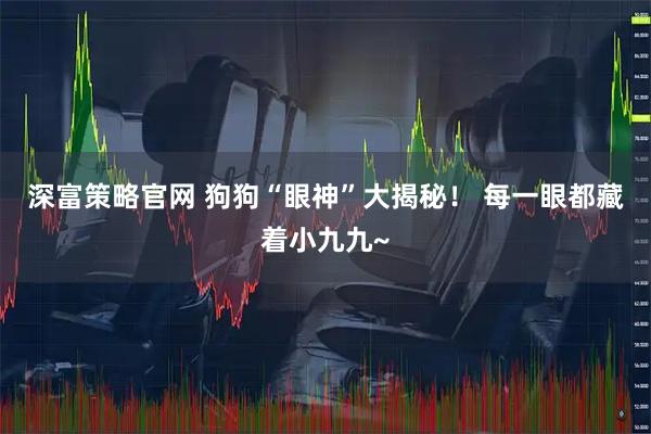 深富策略官网 狗狗“眼神”大揭秘！ 每一眼都藏着小九九~