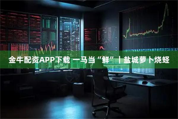 金牛配资APP下载 一马当“鲜”｜盐城萝卜烧蛏